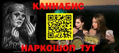 spice Бердск