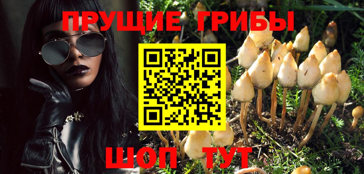 Псилоцибиновые грибы прущие грибы  Галлюциногенные грибы Cubensis  Вход с VPN  Владивосток 