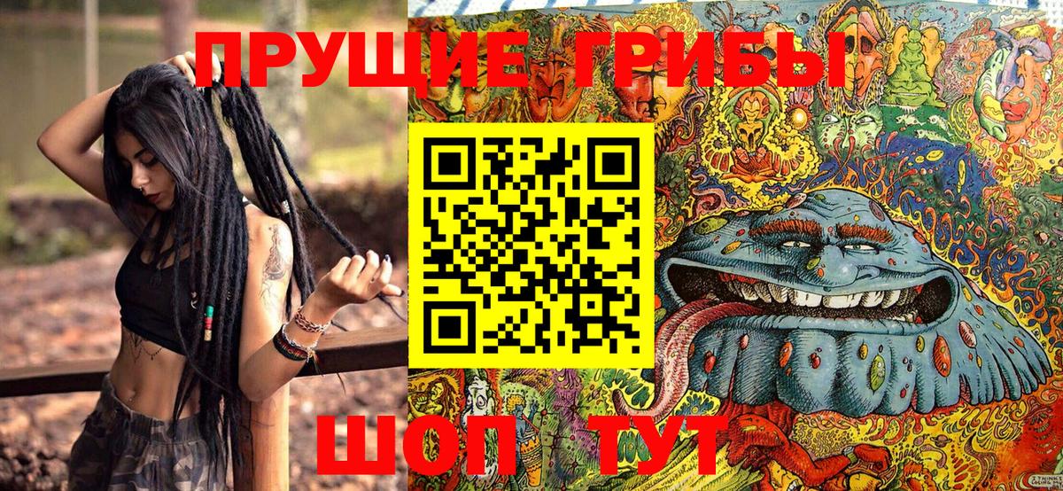 Псилоцибиновые грибы прущие грибы Владивосток